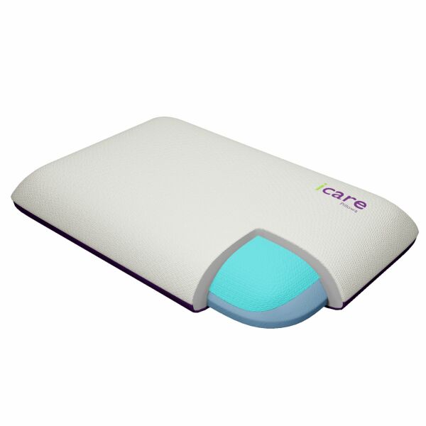 Icare Classic Pillow.